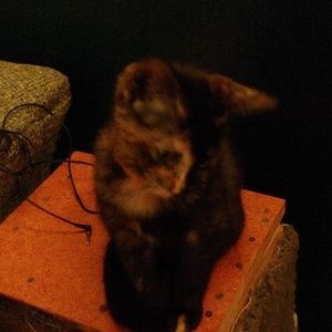 Meet your Posher, Bjorn